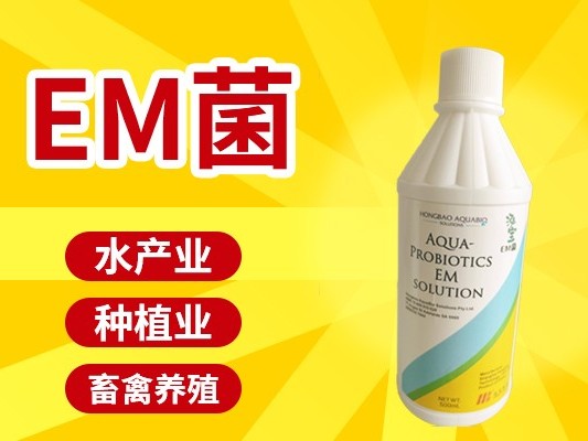 EM菌在水產(chǎn)養(yǎng)殖中的主要作用你了解多少？
